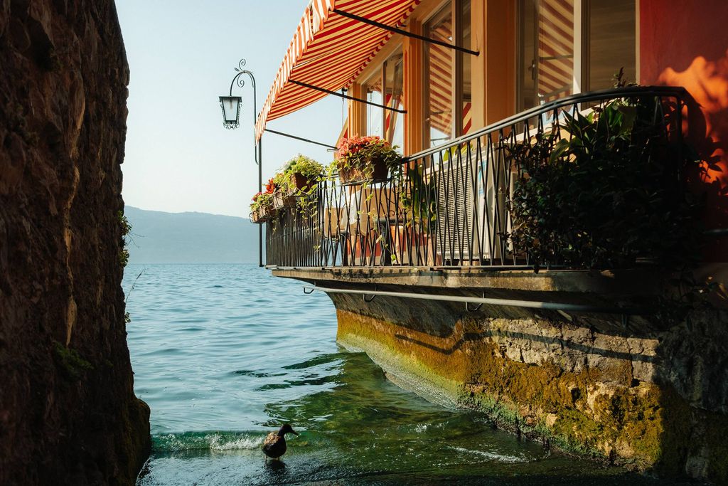Hotel Du Lac 2 - Gallery