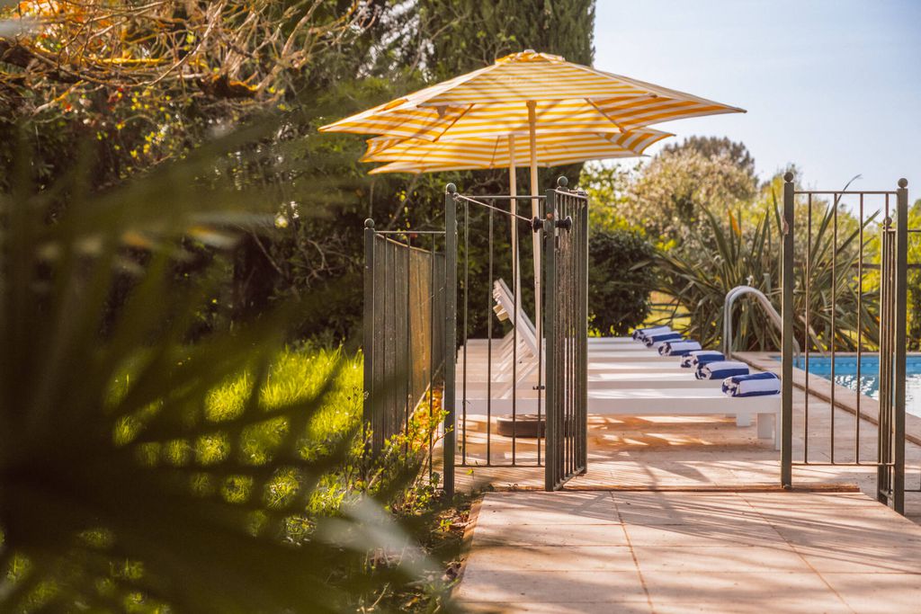 Le Beau Pierre 14 - Gallery