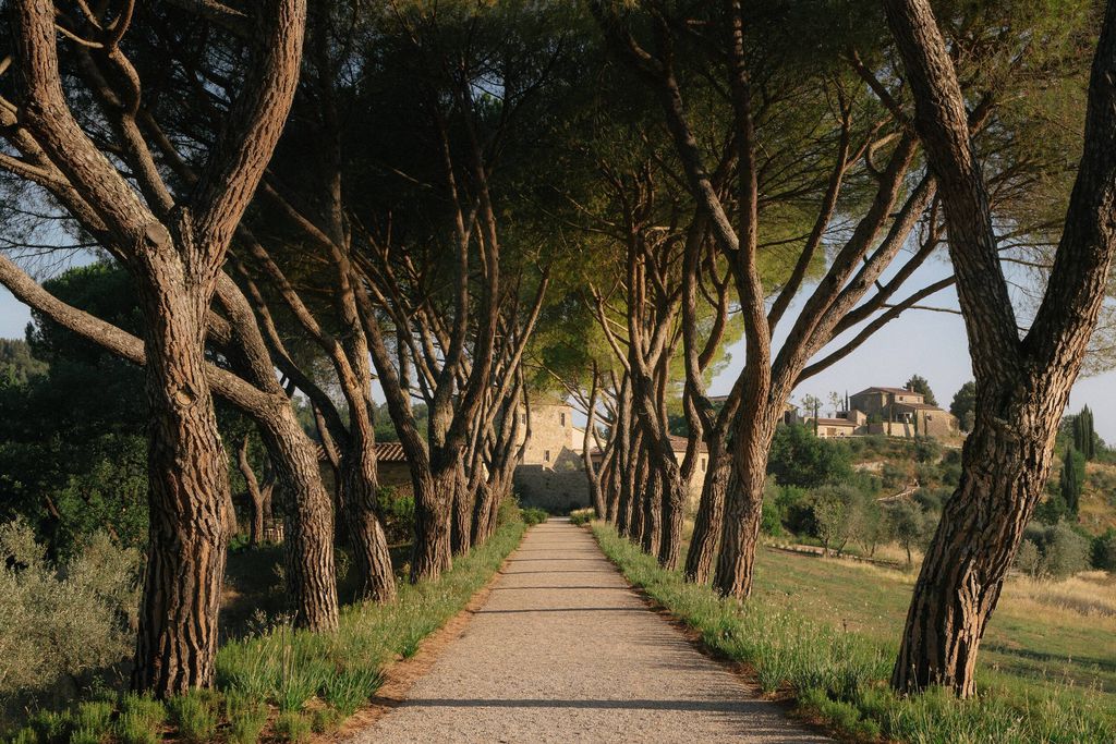 La Darbia in Chianti 19 - Gallery