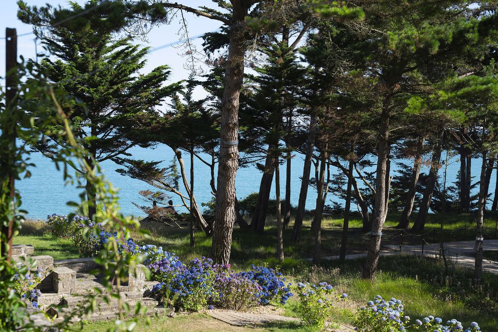 RozVen - Les Tilleuls de la Plage 19 - Gallery
