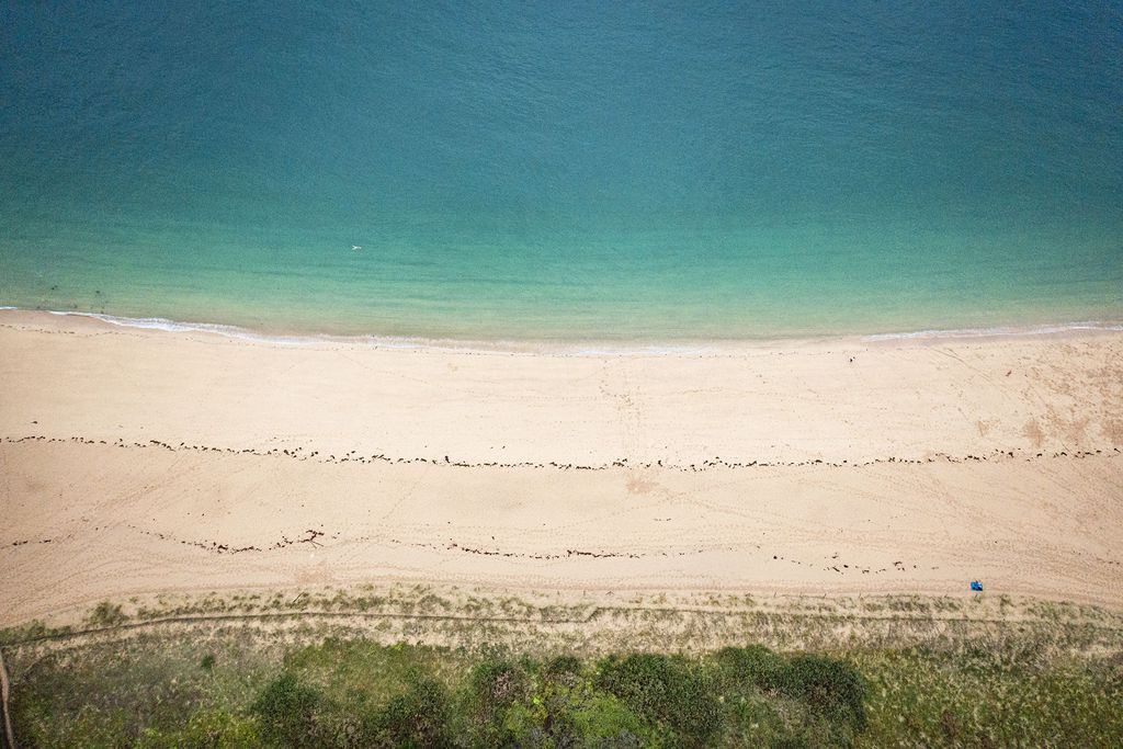 RozVen - Les Tilleuls de la Plage 20 - Gallery