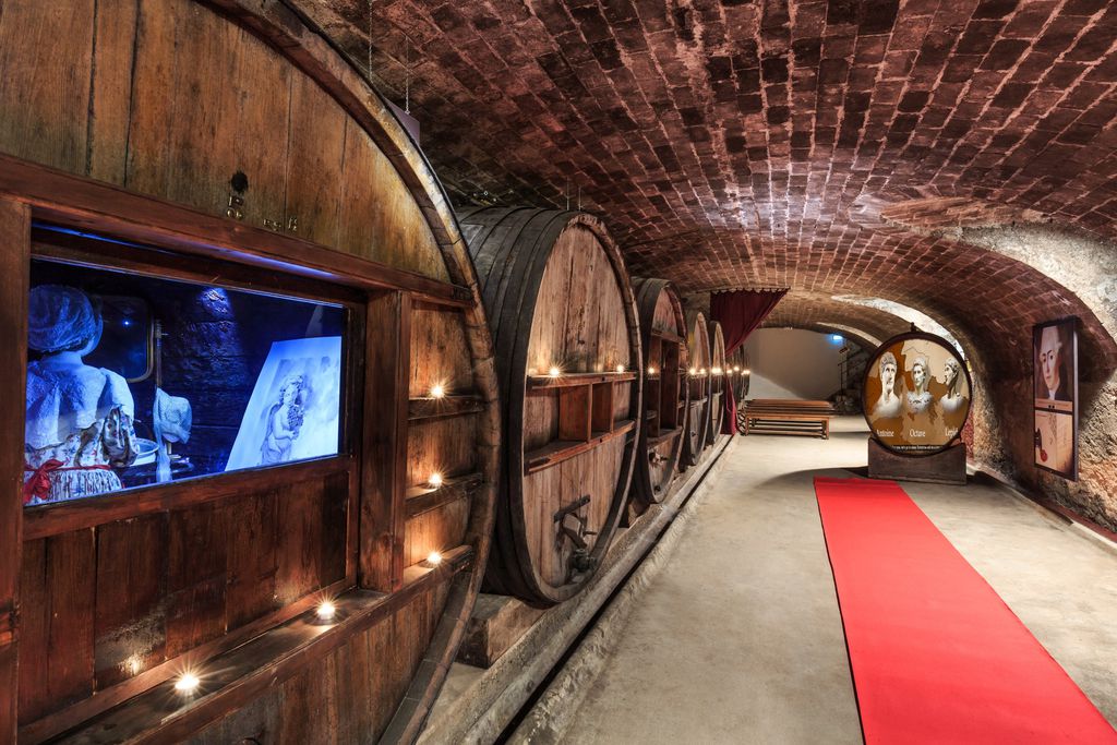 Château de Saint Martin 19 - Gallery