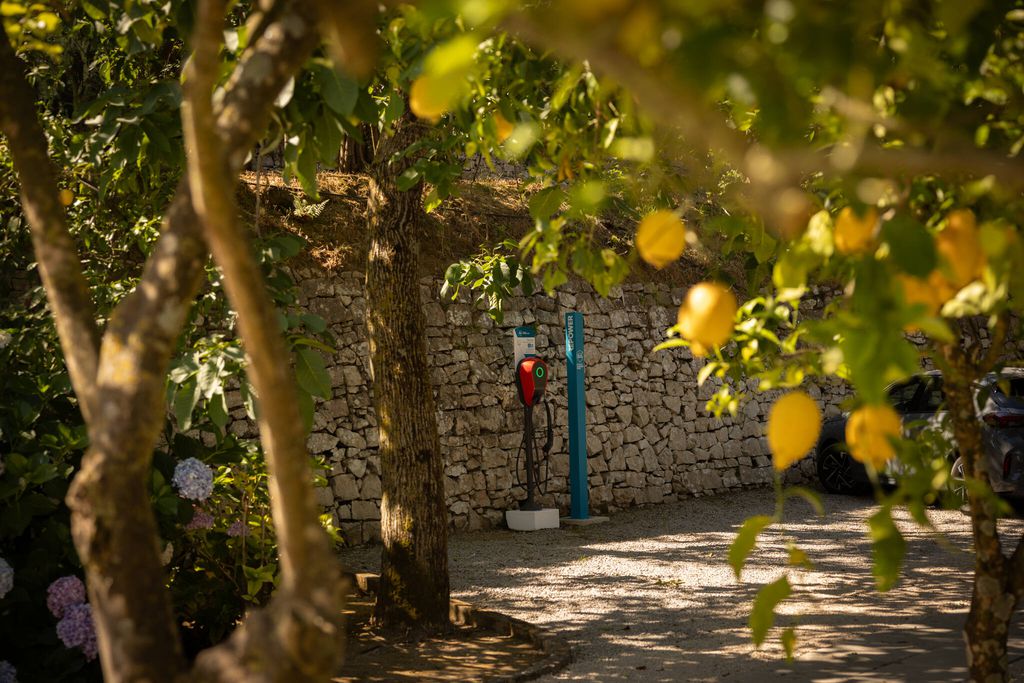 Villa Oriana Relais 7 - Gallery