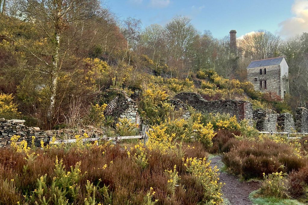 The Count House at Okel Tor Mine 19 - Gallery