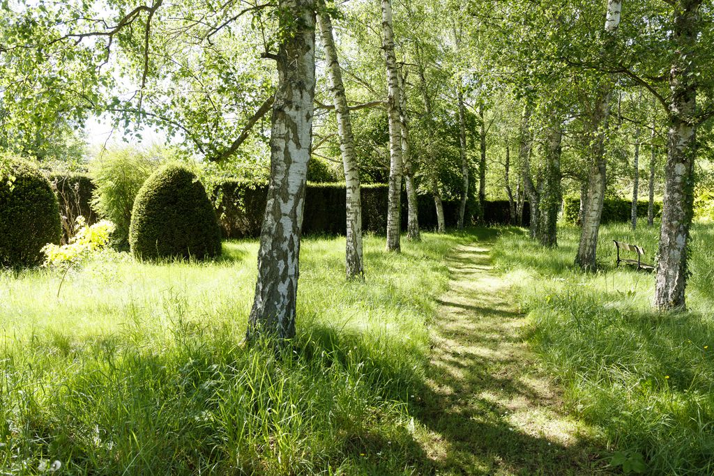 Le Cottage de la Marcotte 13 - Gallery
