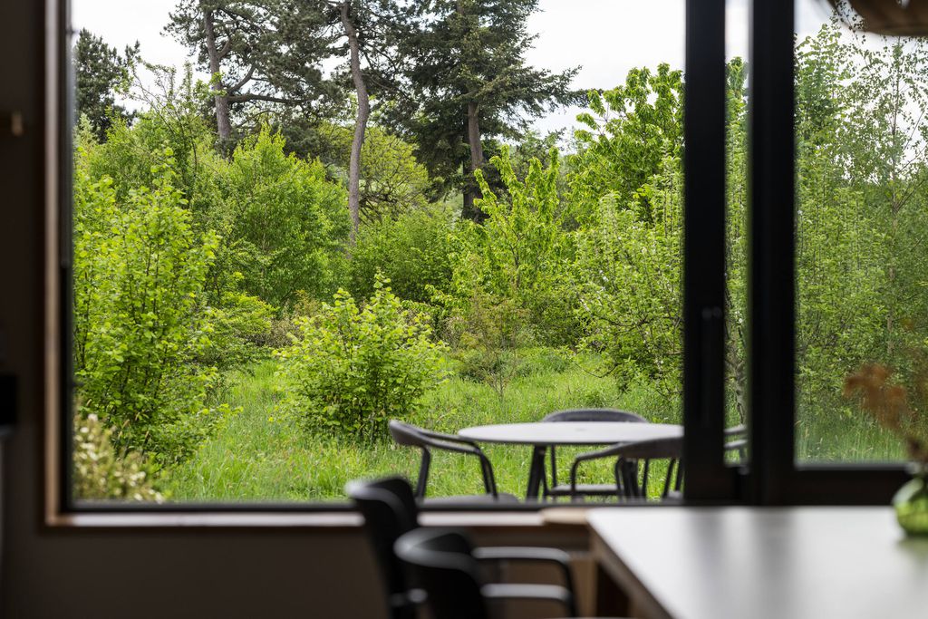 Chestnut at Cynefin Retreats 11 - Gallery