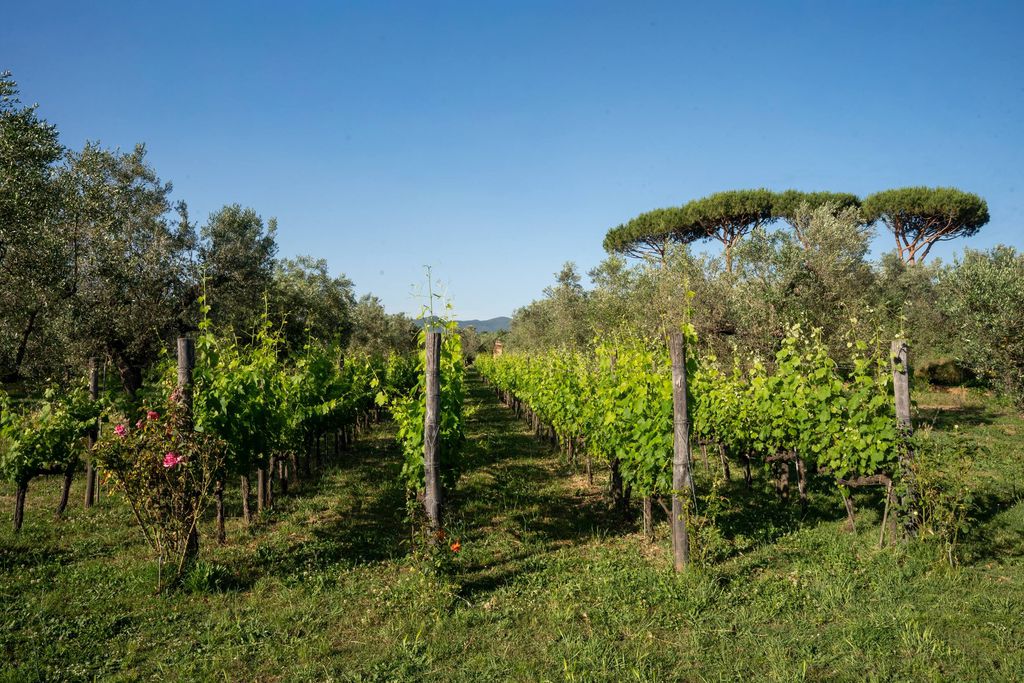 Tenuta Merlò 16 - Gallery