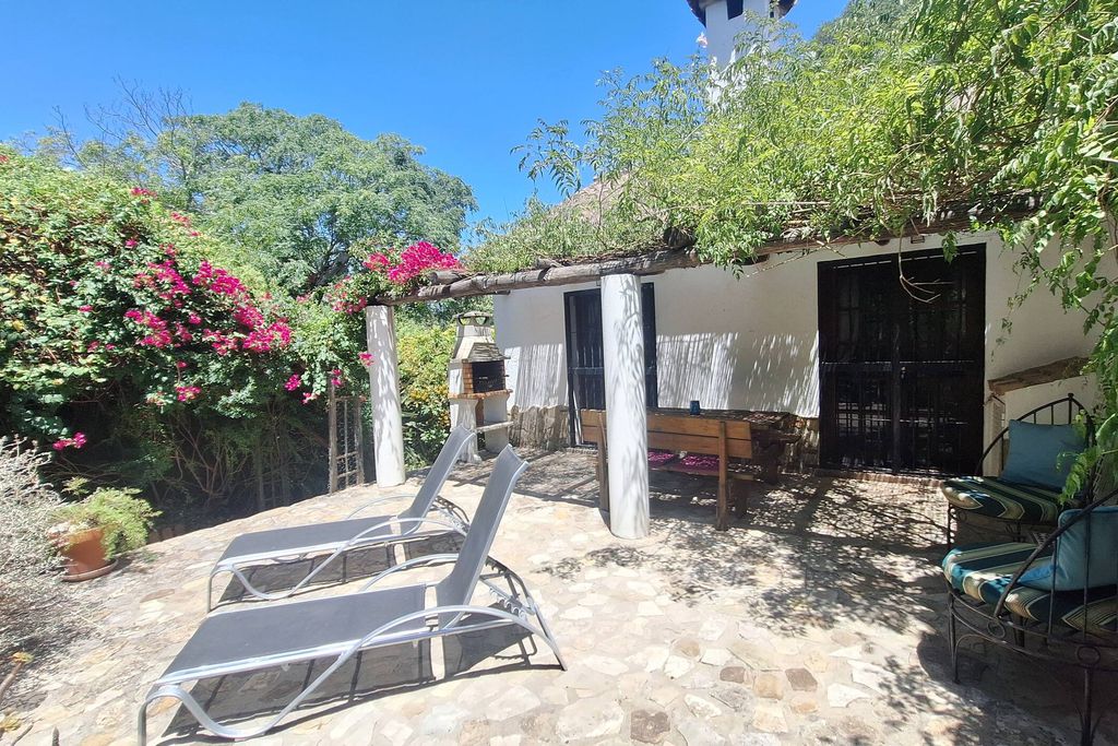 Finca El Sueño 12 - Gallery