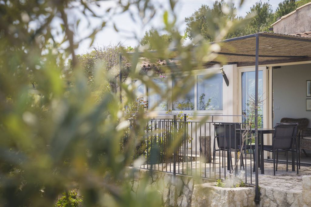 Tenuta Olive Alive 7 - Gallery