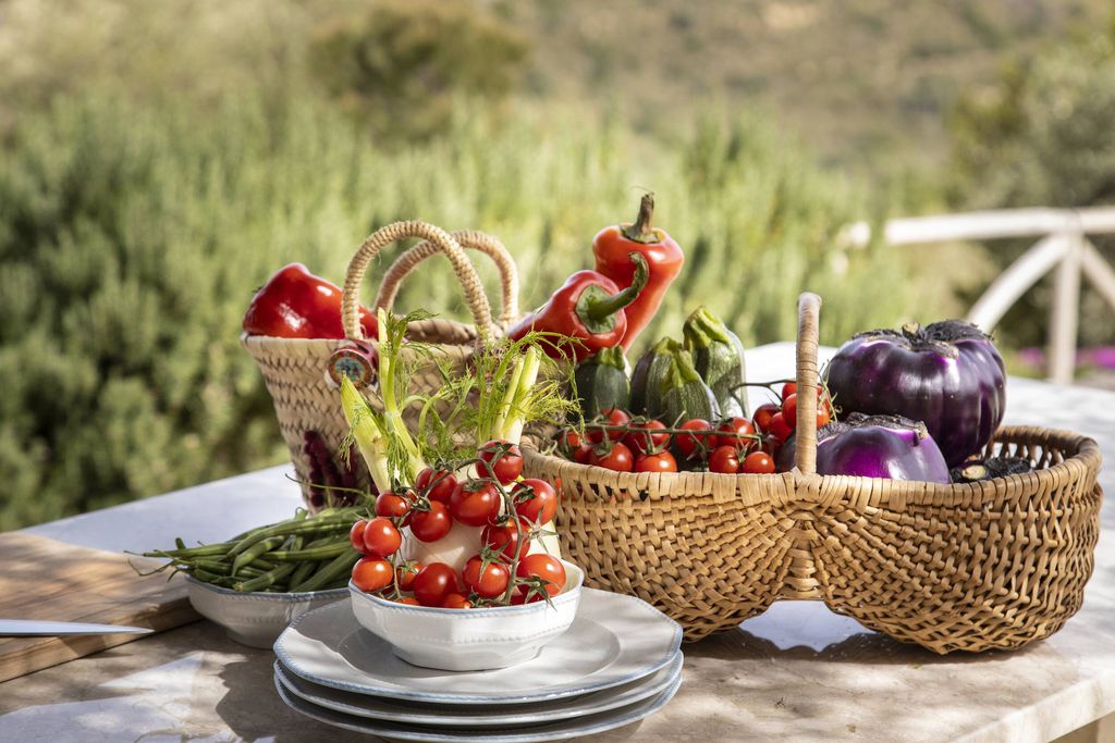 Tenuta Olive Alive 8 - Gallery