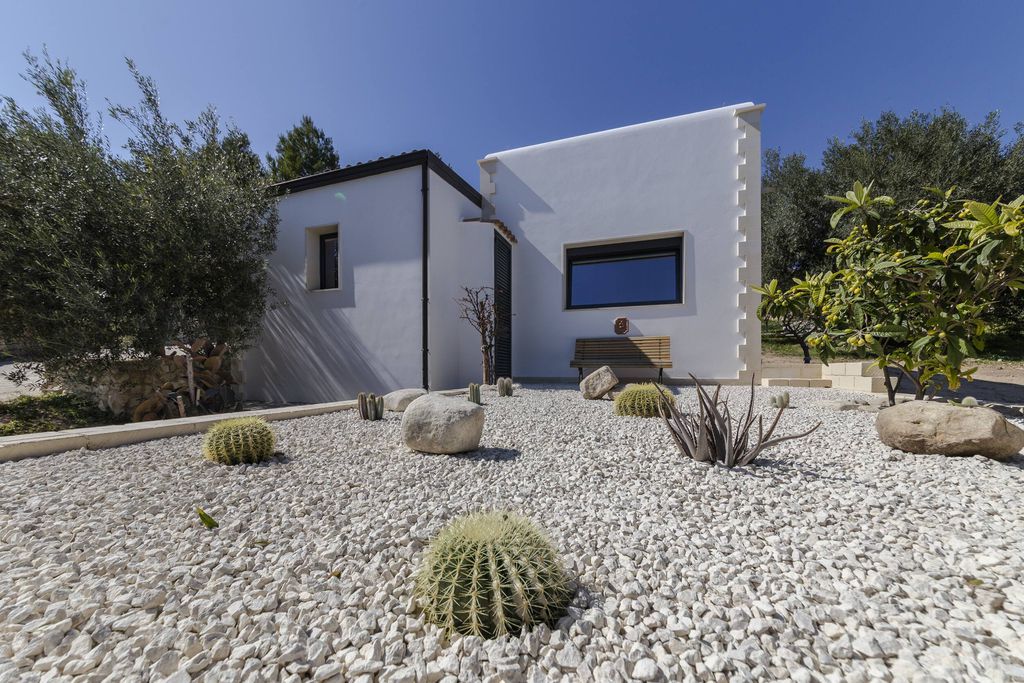 Tenuta Olive Alive 9 - Gallery