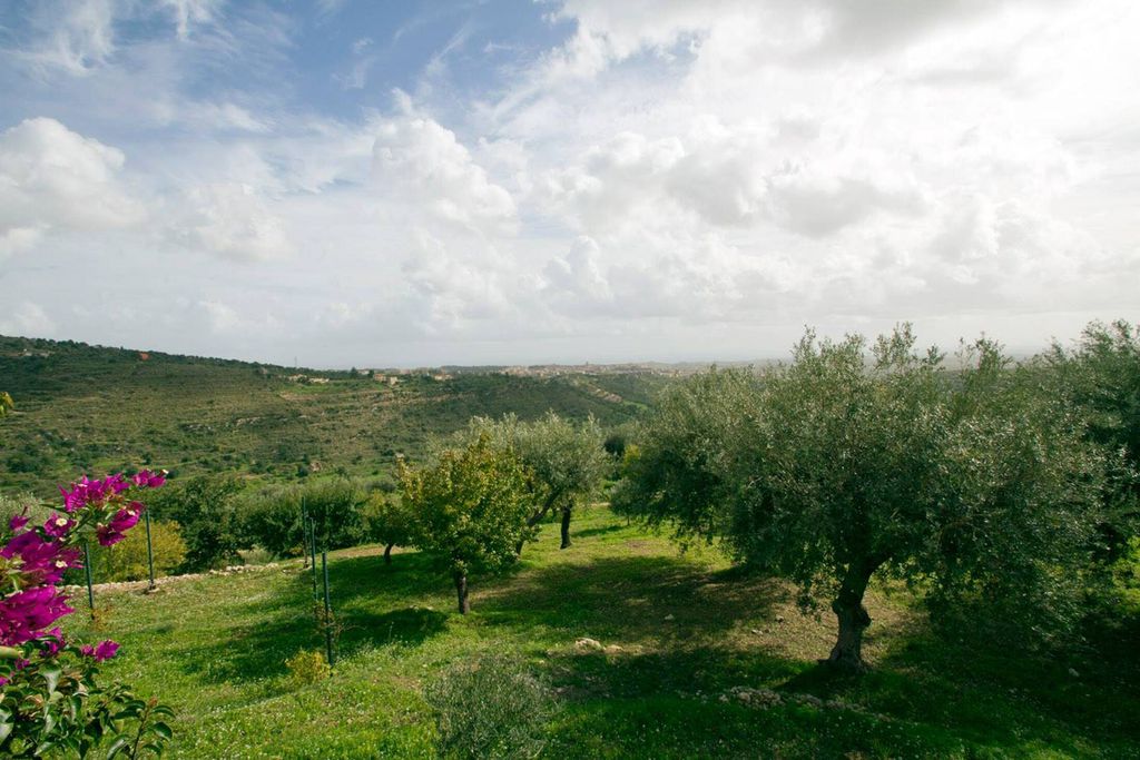 Tenuta Olive Alive 17 - Gallery