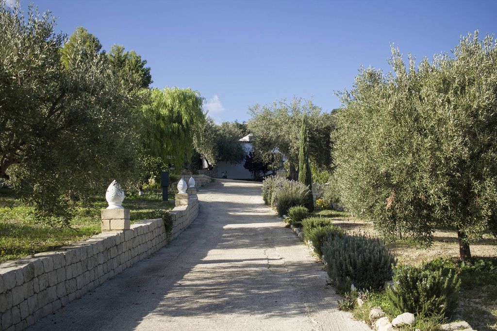 Tenuta Olive Alive 18 - Gallery