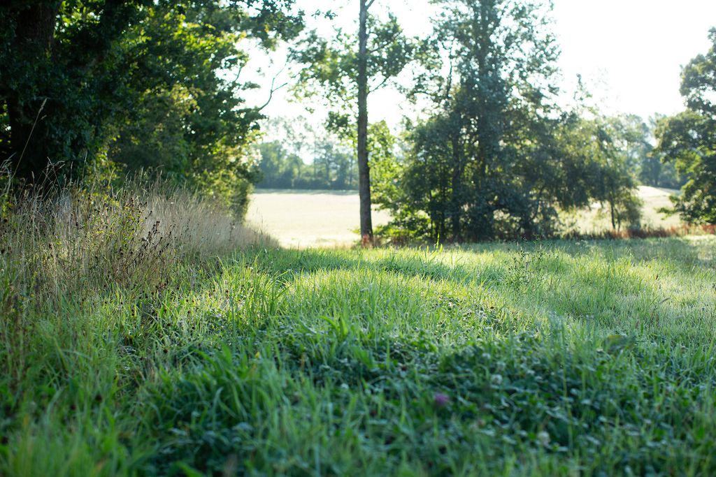 Whitehill Farm House 3 - Gallery