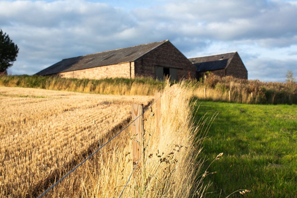Whitehill Farm House 5 - Gallery
