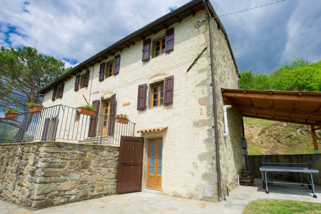 Montate 7 - Gallery