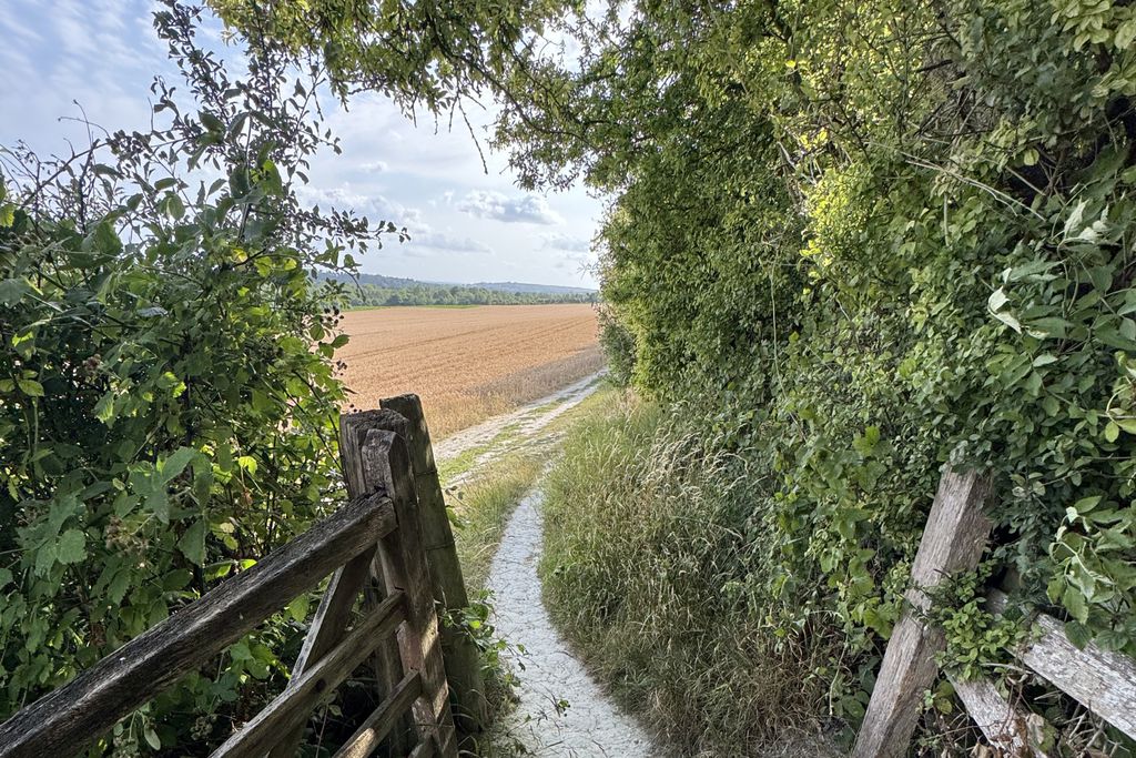 Botley Hill Farmhouse 19 - Gallery