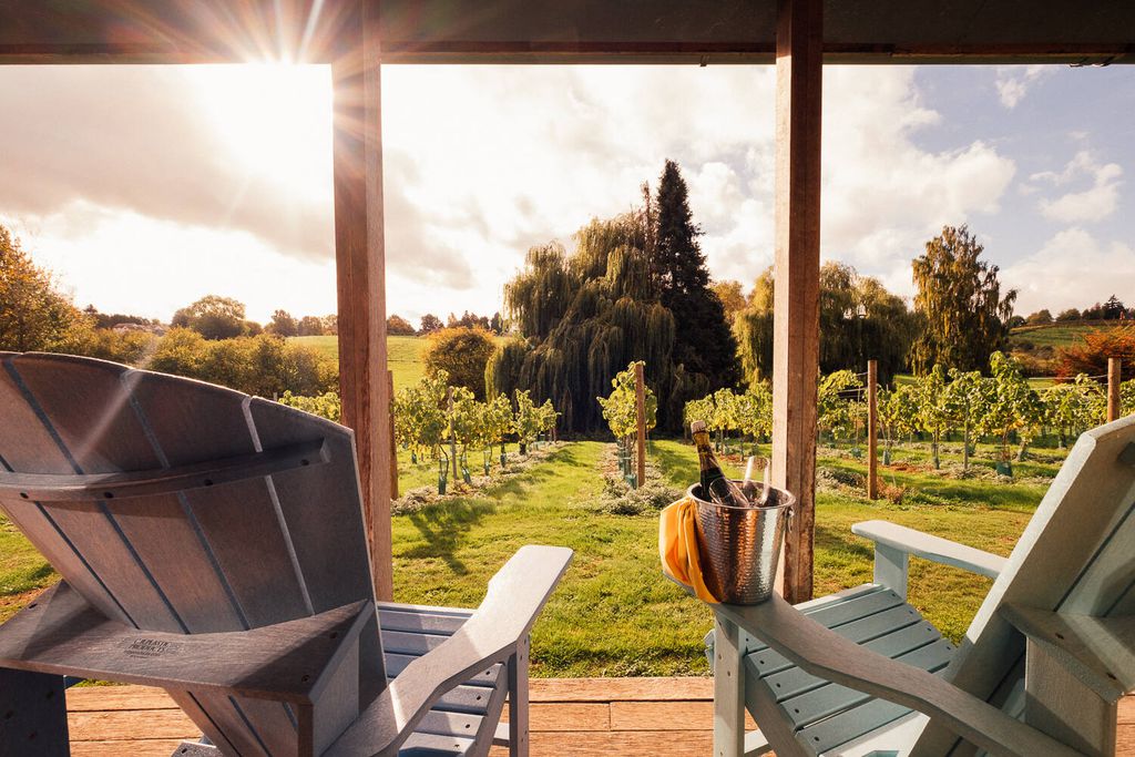 Three Choirs Vineyards 8 - Gallery