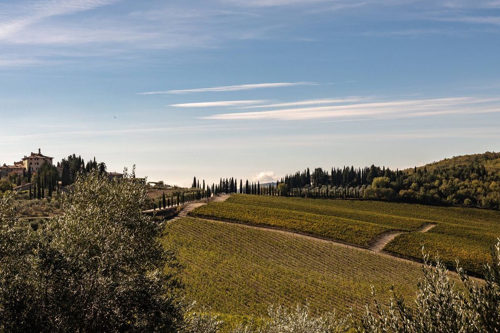 Il Fico in Chianti 19 - Gallery
