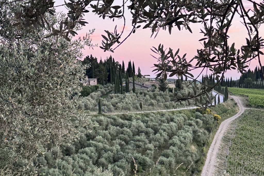 Il Fico in Chianti 20 - Gallery