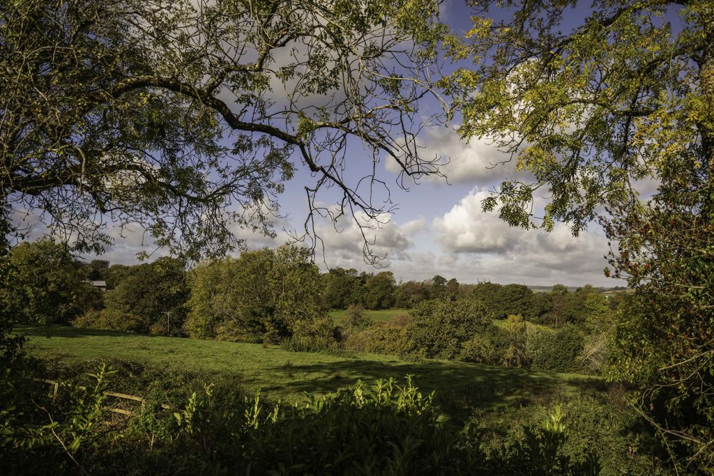 Horseshoe Barn 18 - Gallery