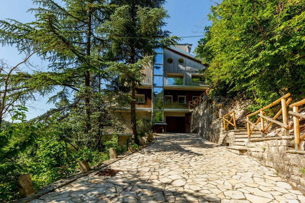 La Forestale 19 - Gallery