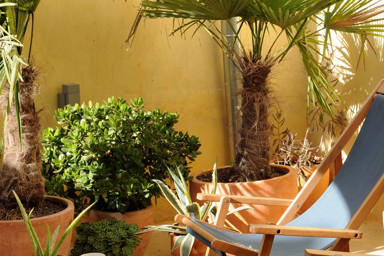 Hotels, cottages and special places in Valencia | Sawday's