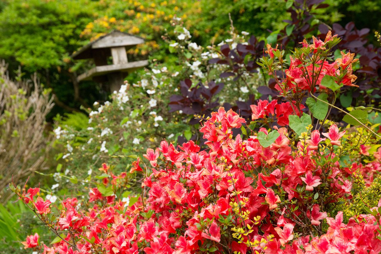 Cottages in Co. Galway and special places to stay Sawday's