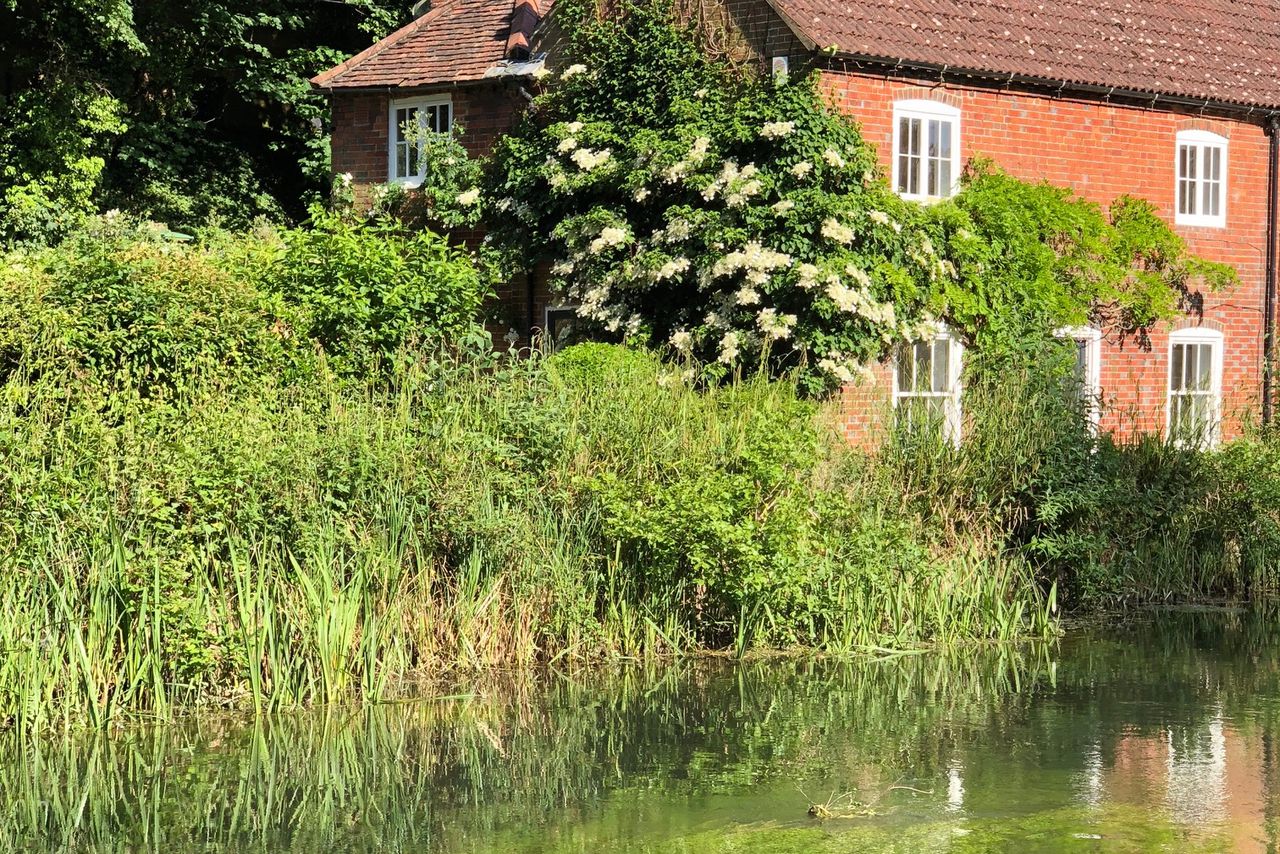 Cottages In Hampshire And Special Places To Stay | Sawday's