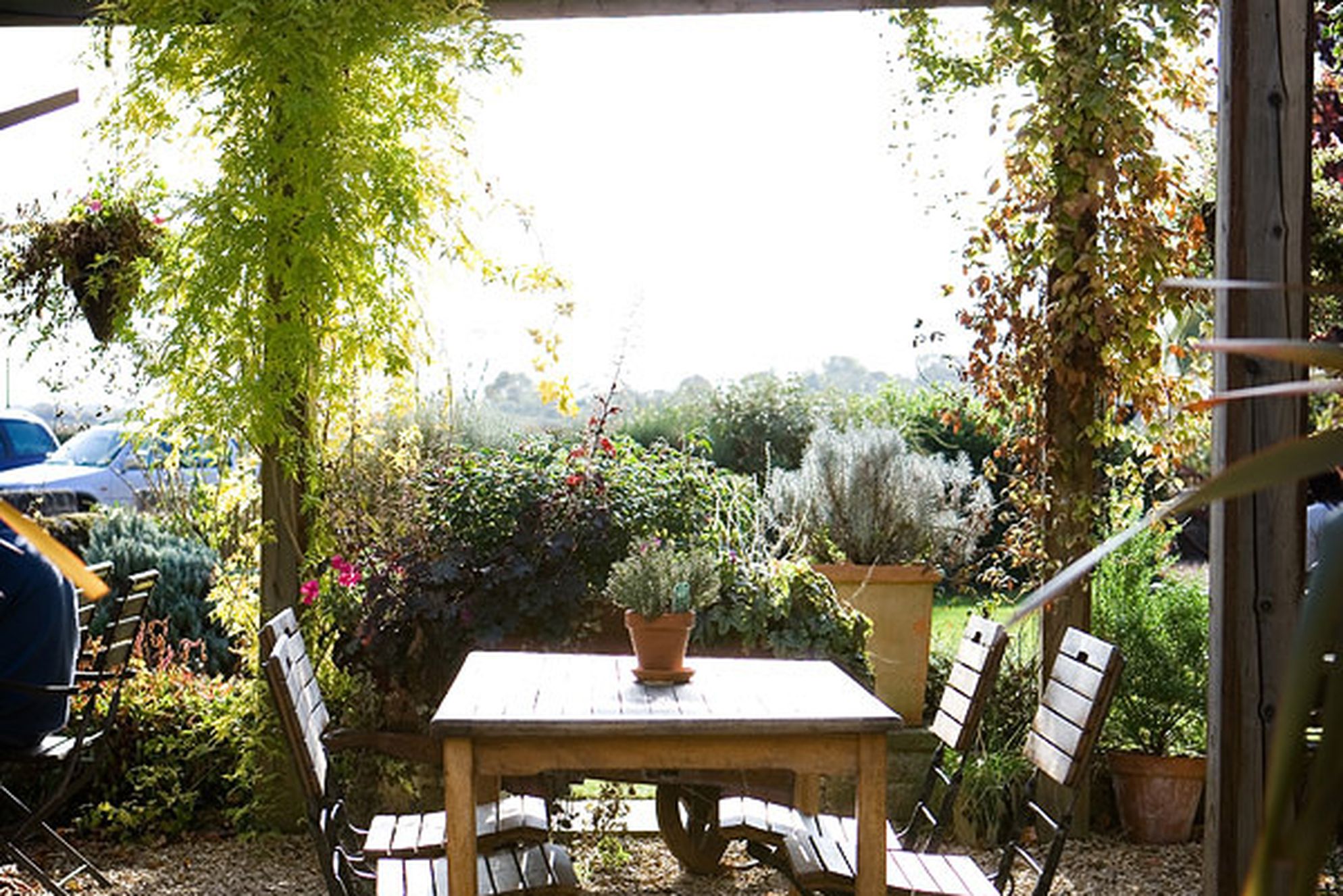 The Olive Branch - Gallery