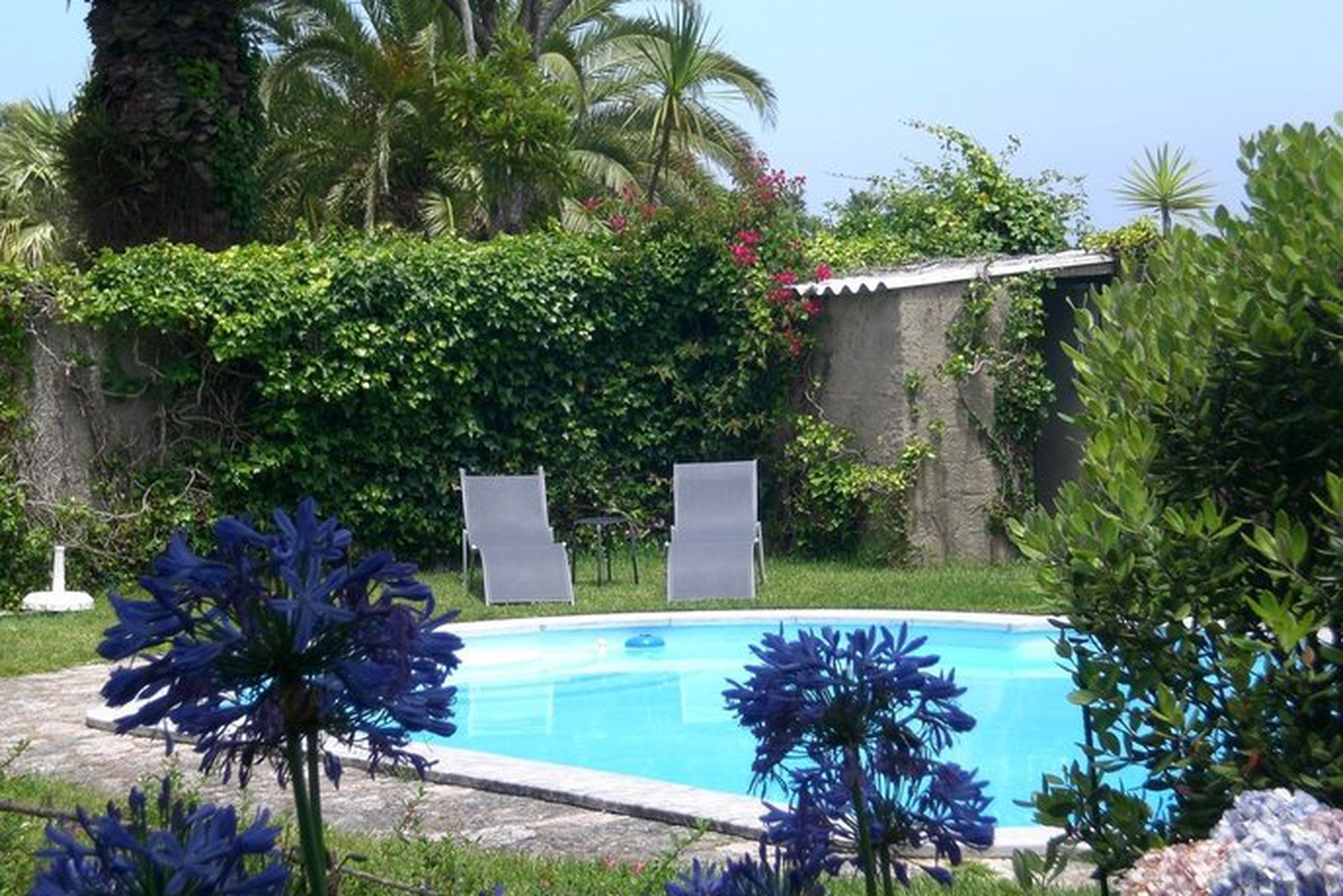 Quinta Colina Flora - Gallery