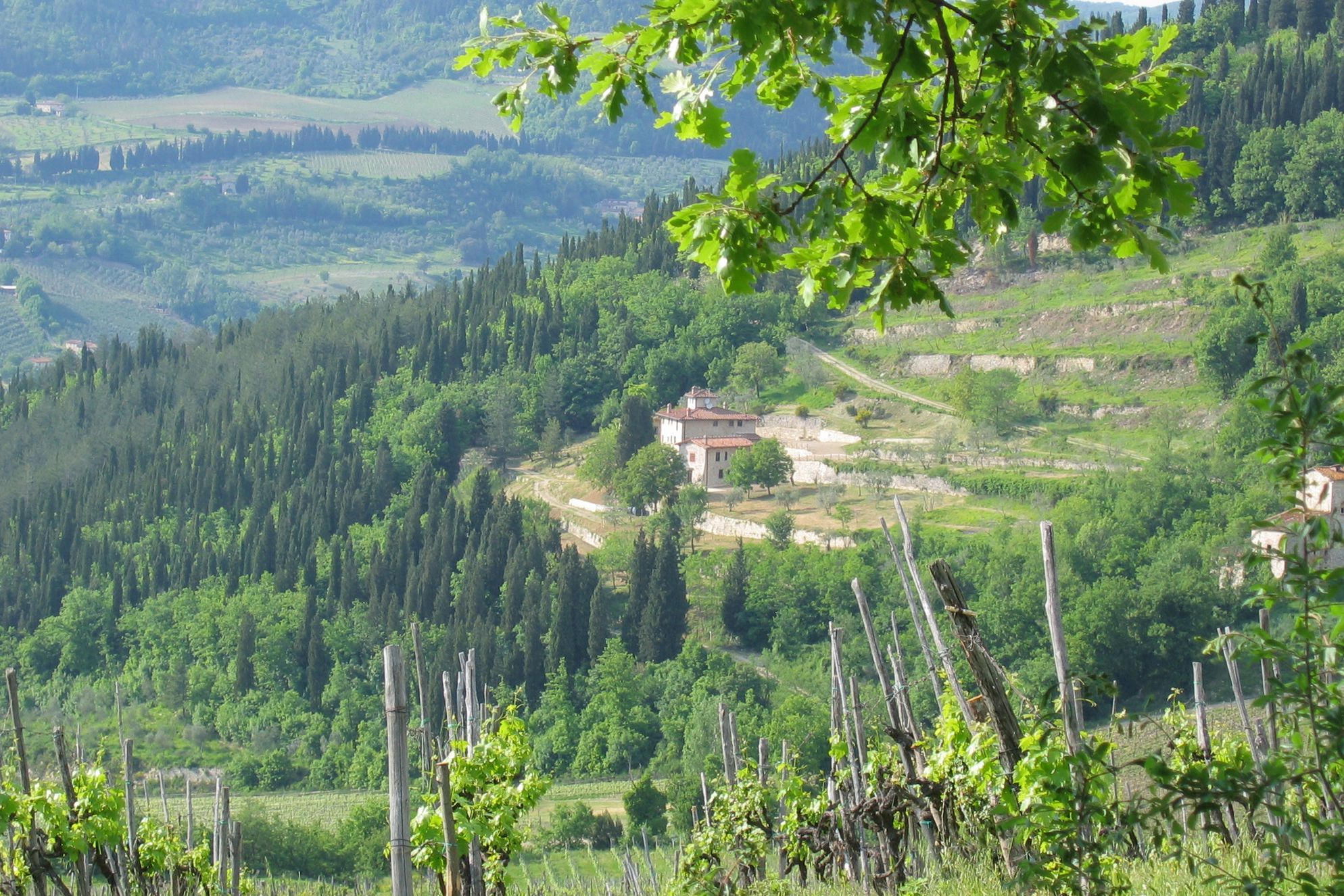 Borgo di Sopra - Gallery