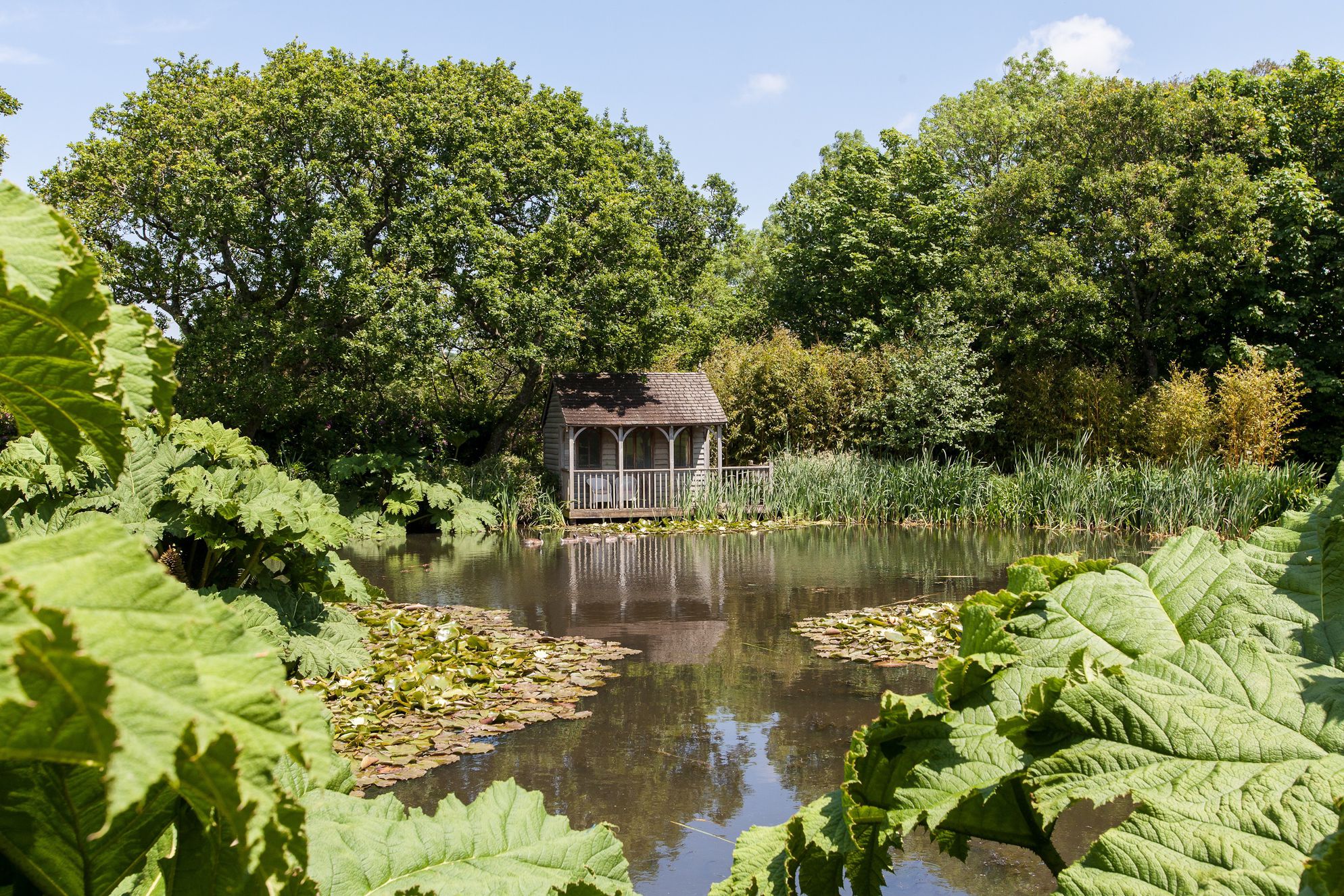 The pond at Benallack Barn