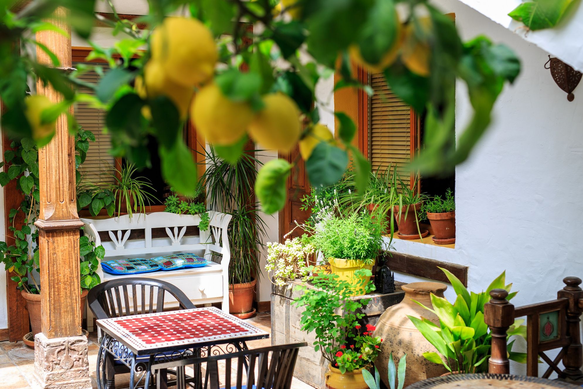 La Posada del Angel - Gallery