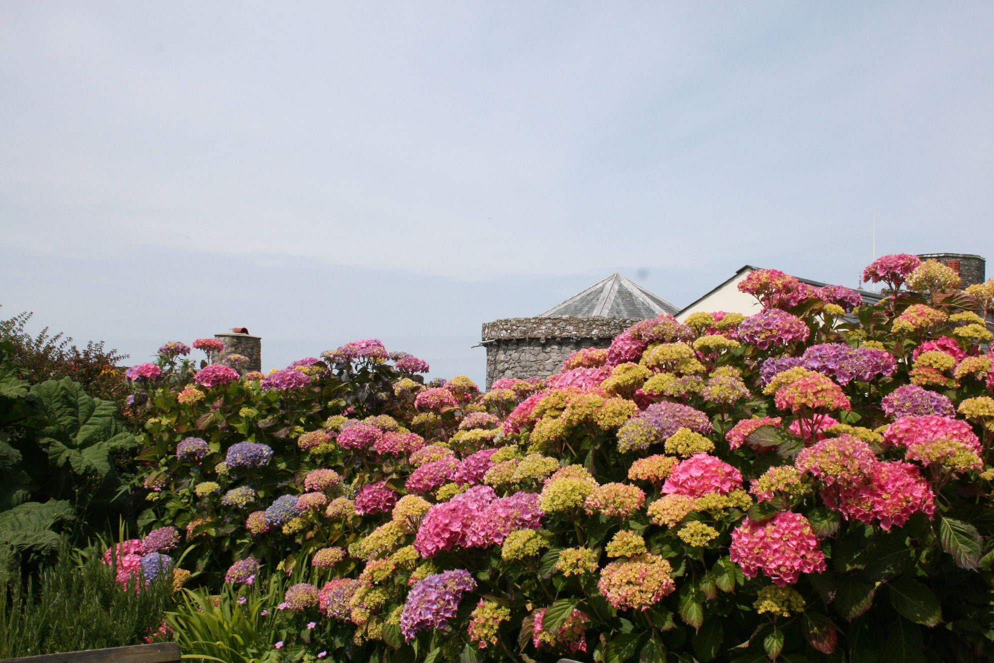 Ty Gwilym, St Davids - Gallery