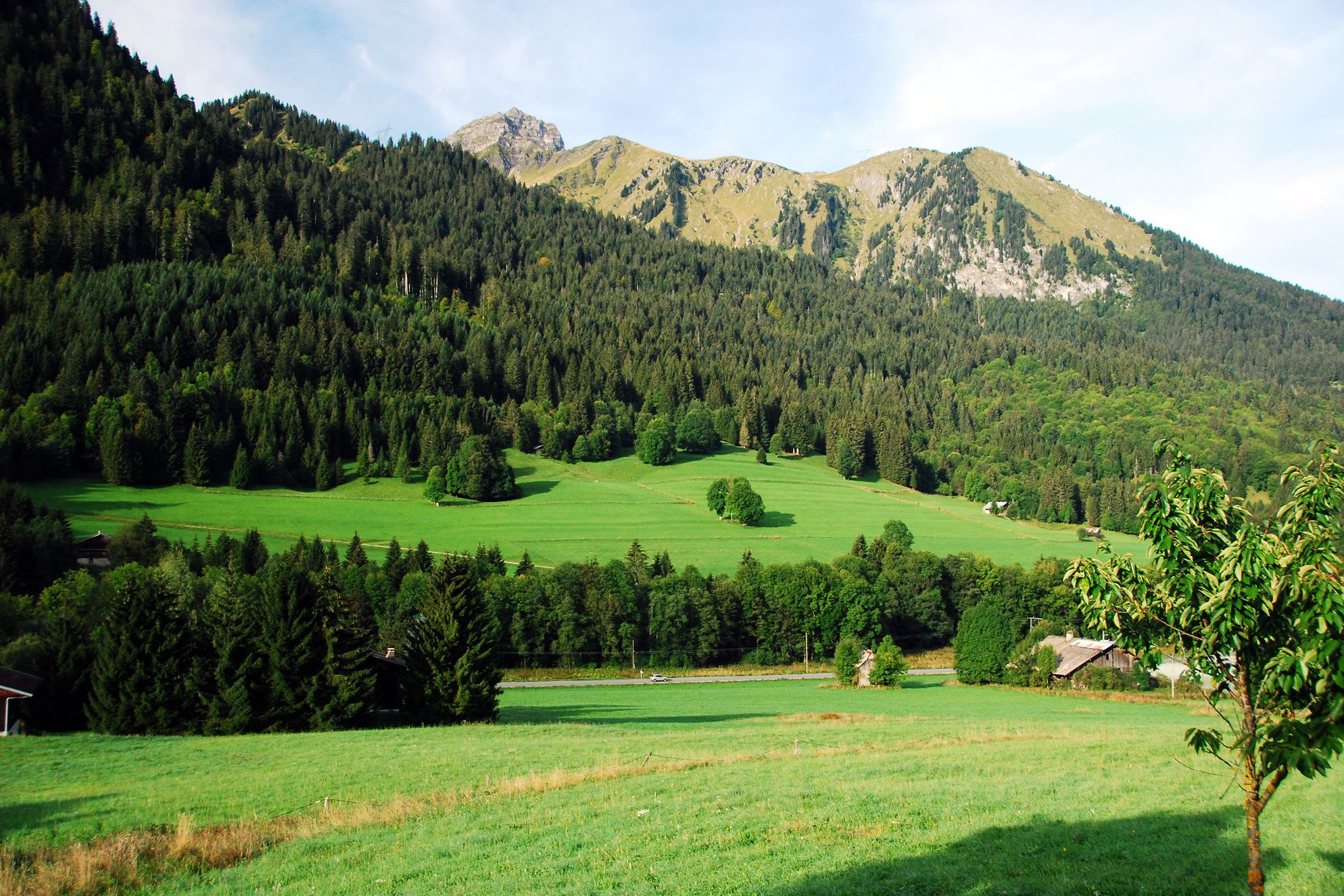 Chalet Cannelle - Gallery