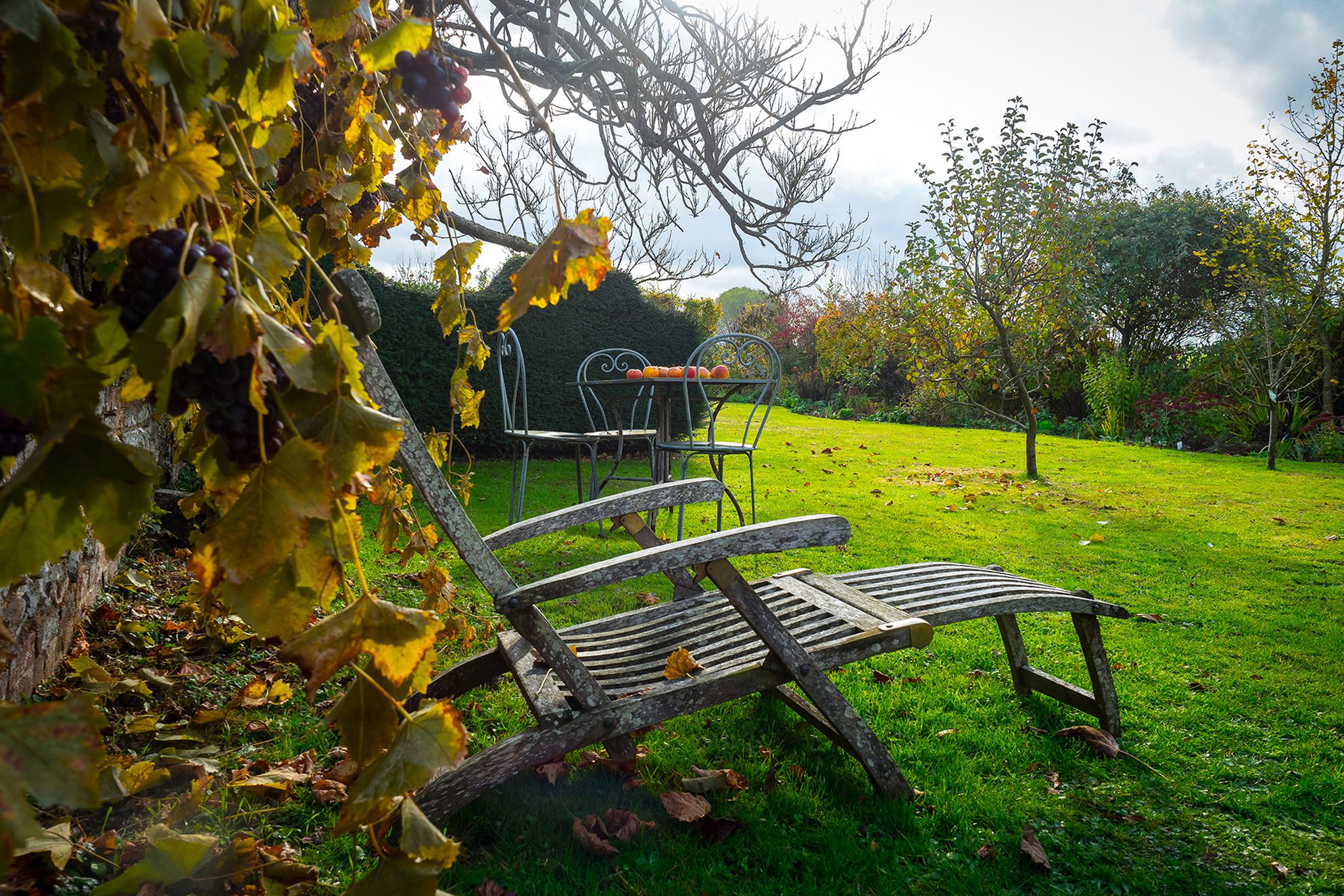The Little Coach House - Gallery