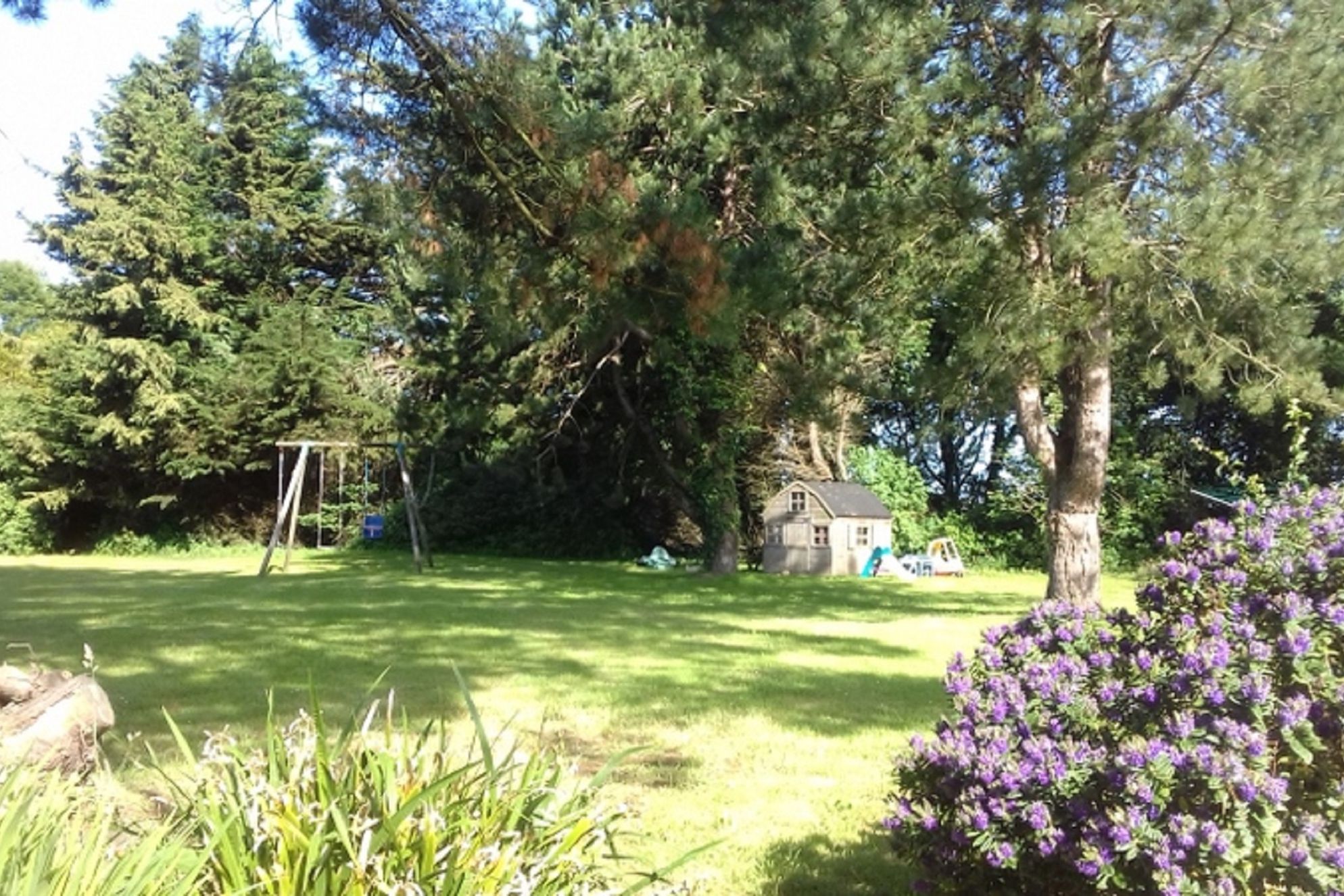 Les Pins - Gallery