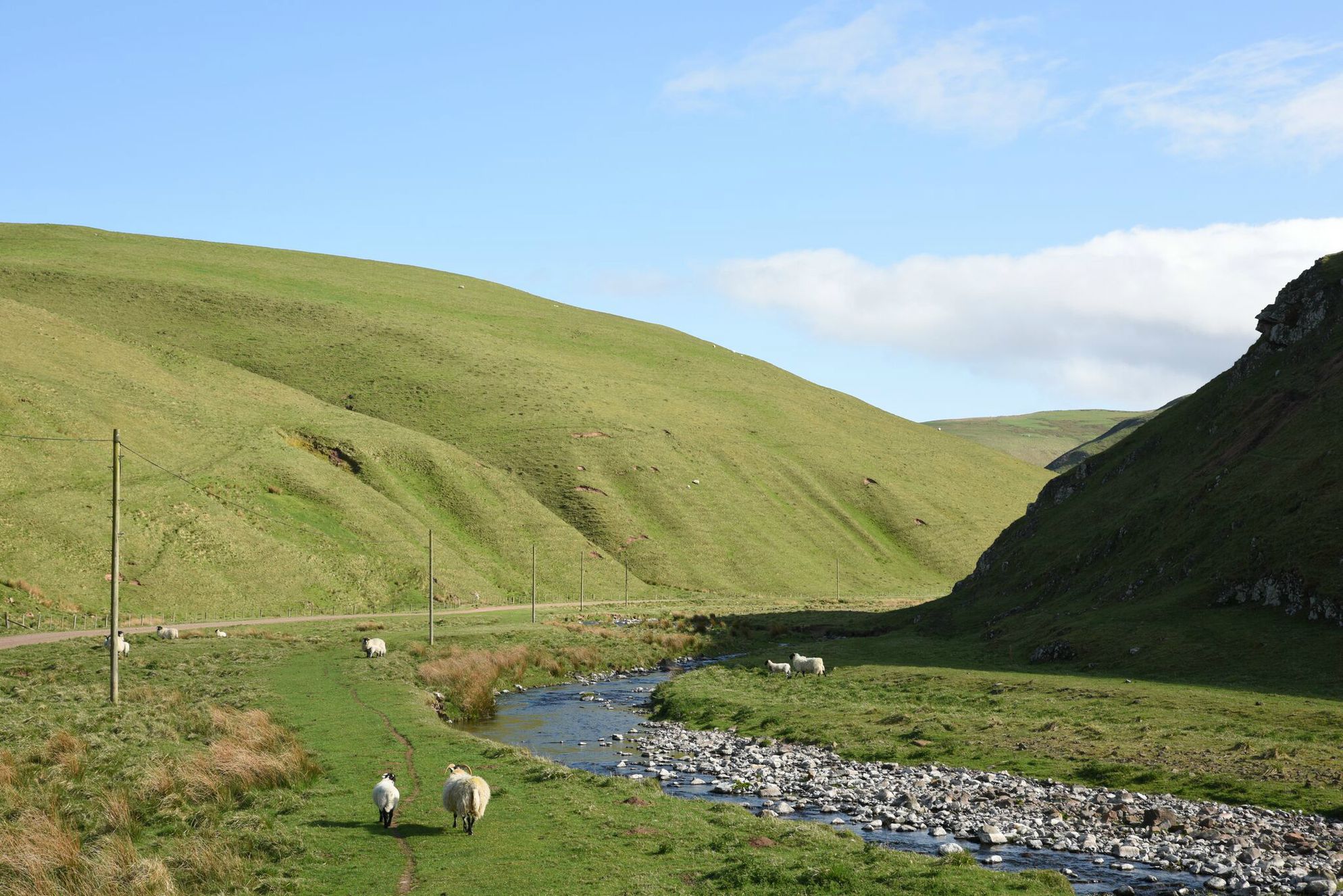 Leyland Barn, Kidlandlee - Gallery