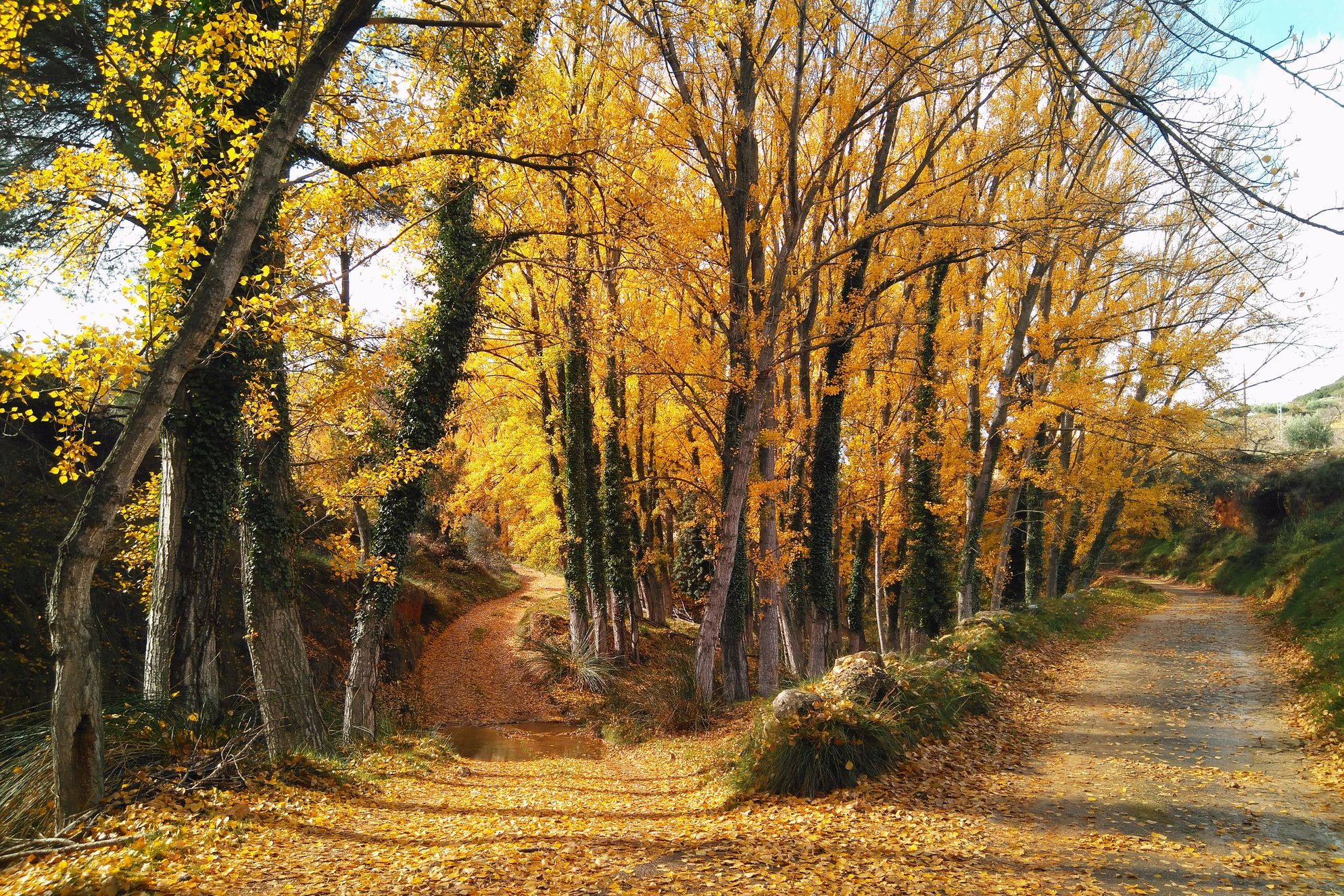 Mas de les melgues - Gallery