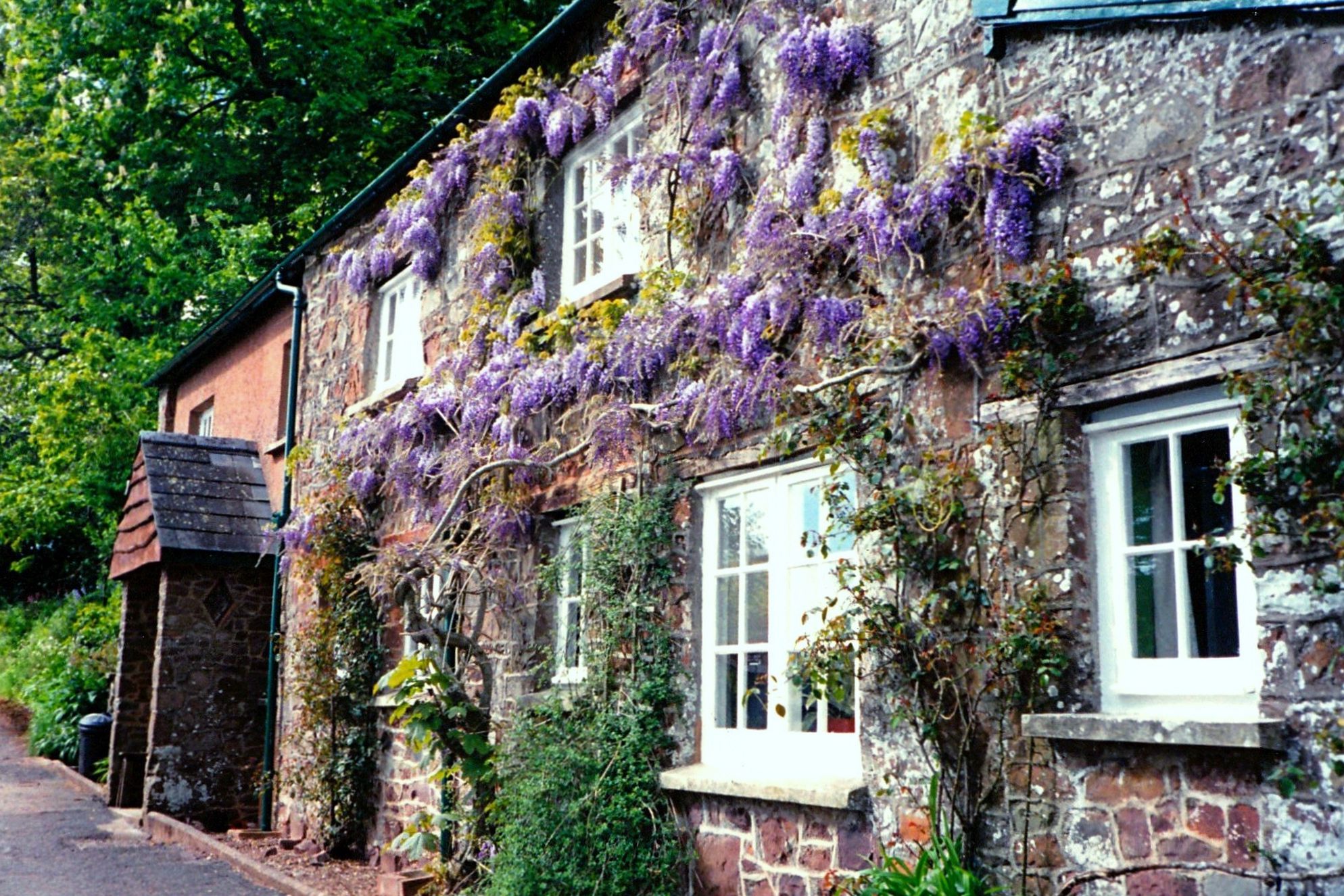 Fursdon Cottage - Gallery