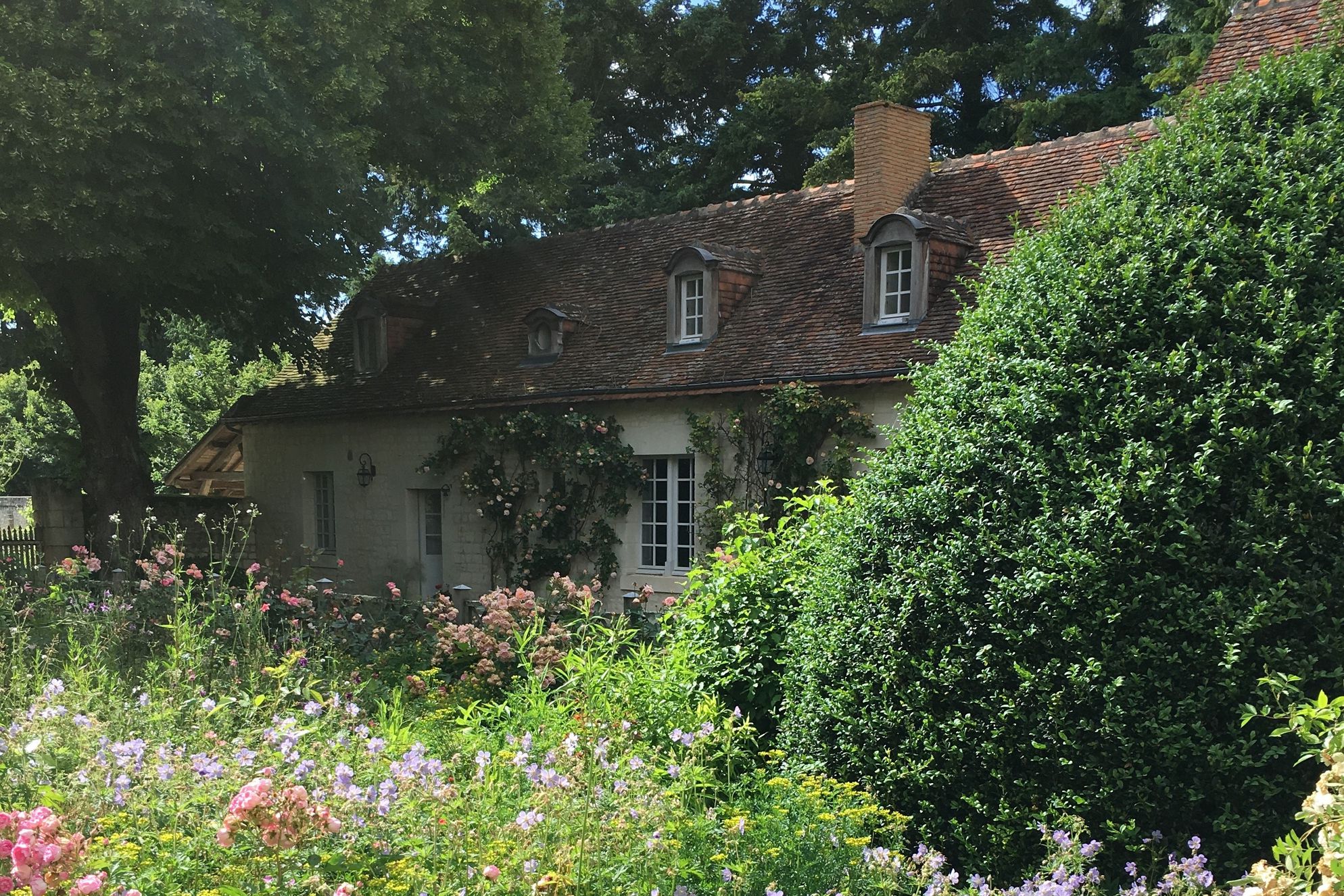 Ecuries de La Fuye - Gallery
