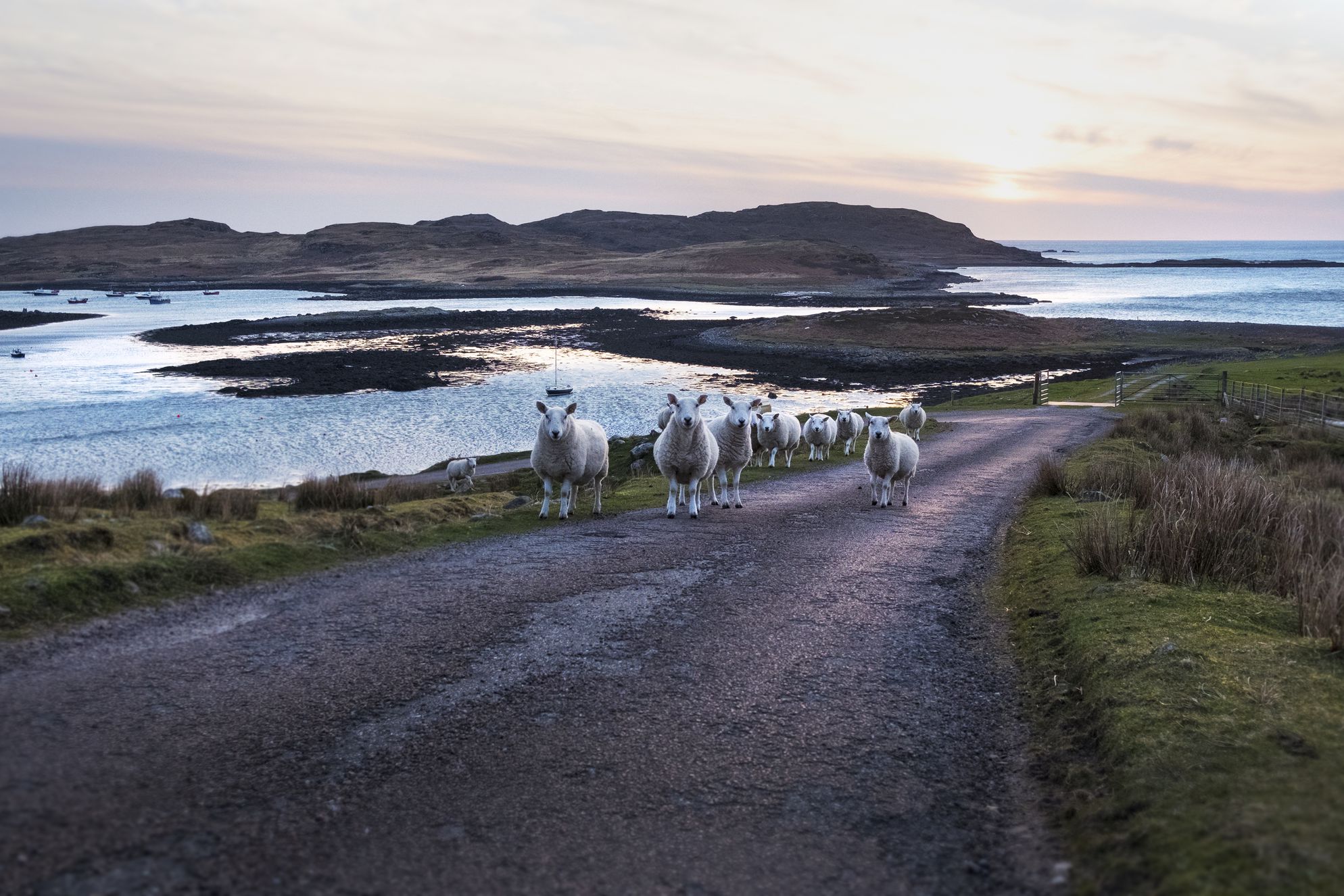 Gille Buidhe’s Broch - Gallery