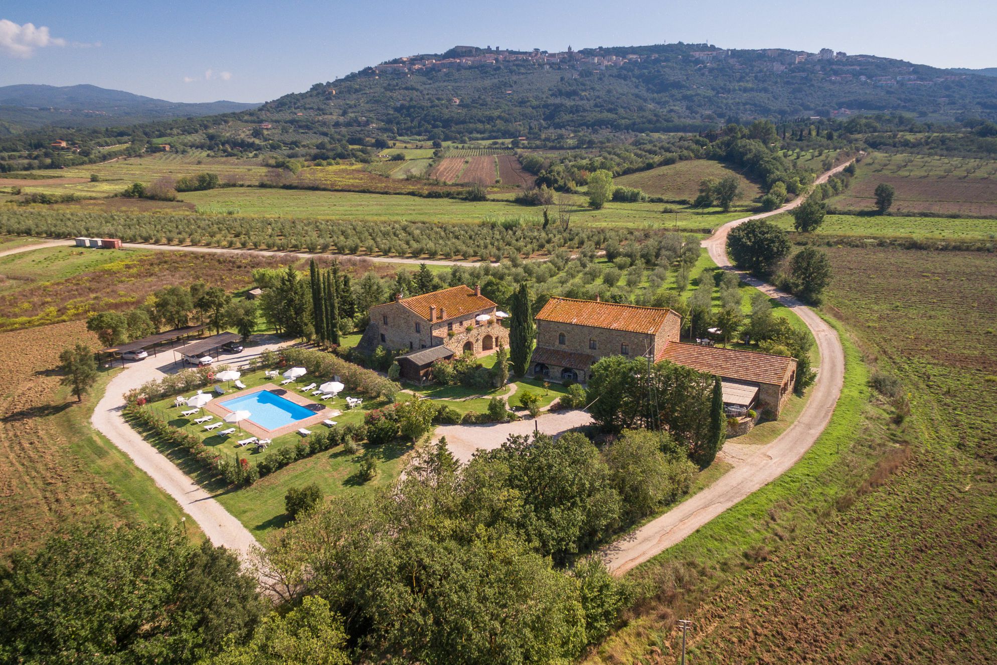 Tenuta Il Cicalino - Gallery