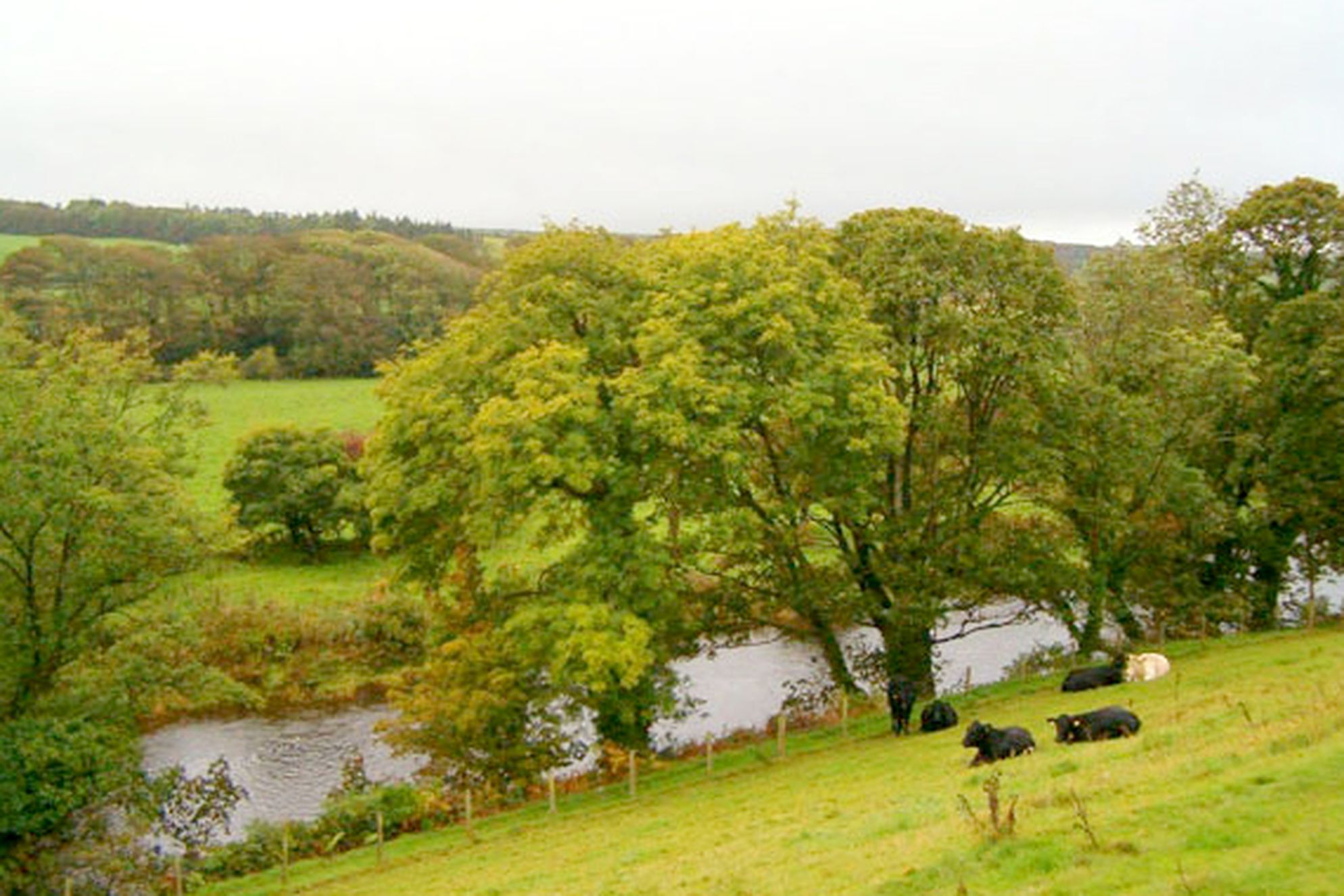 Ballantrae River Cottages - Gallery