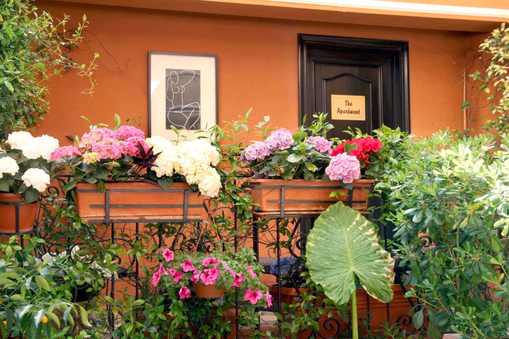 Hotel Modigliani - Gallery