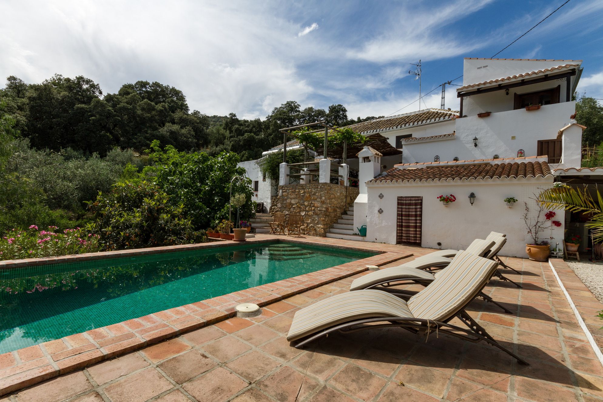 Finca Las Encinas - Gallery