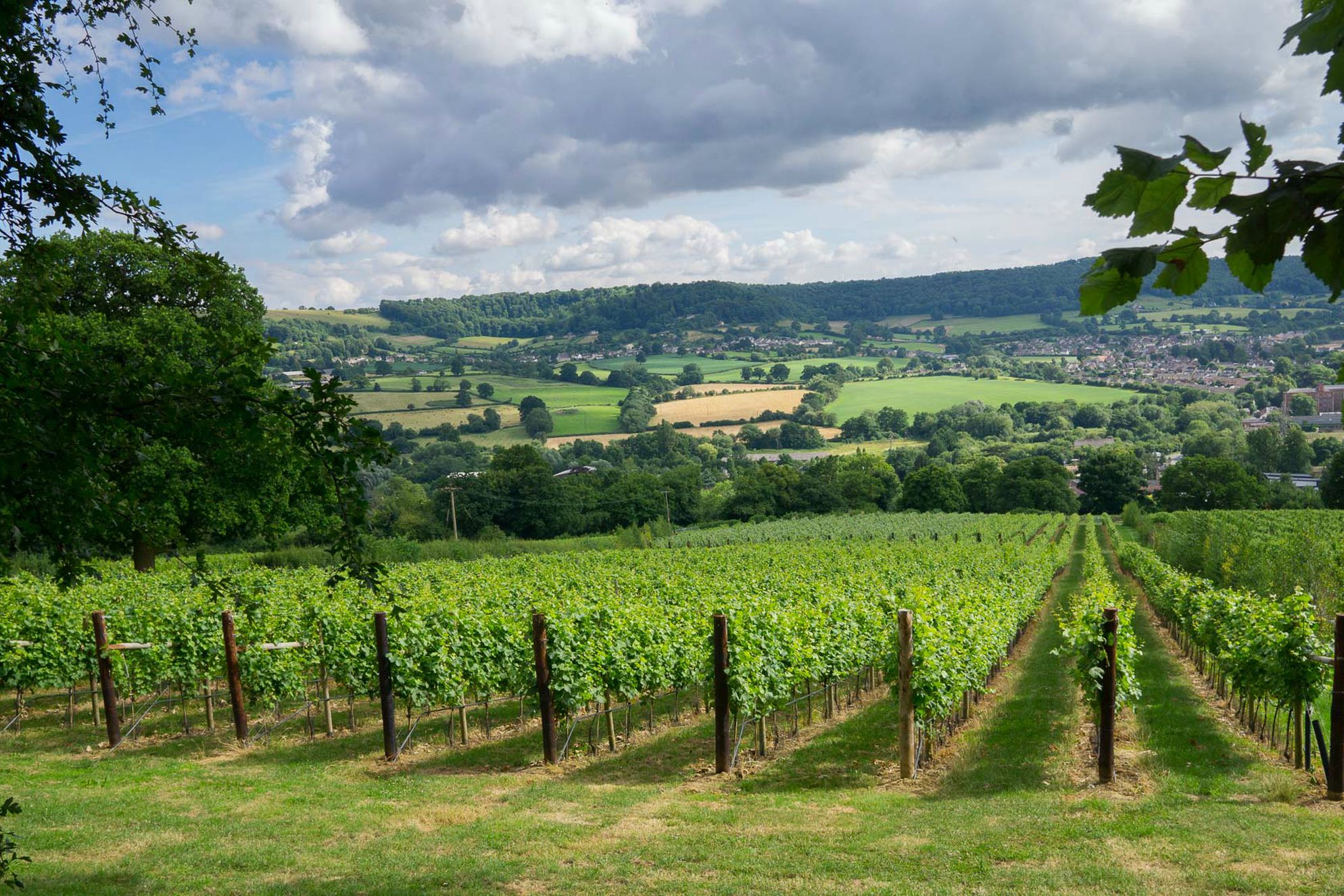 Woodchester Valley Vineyard Barns - Gallery