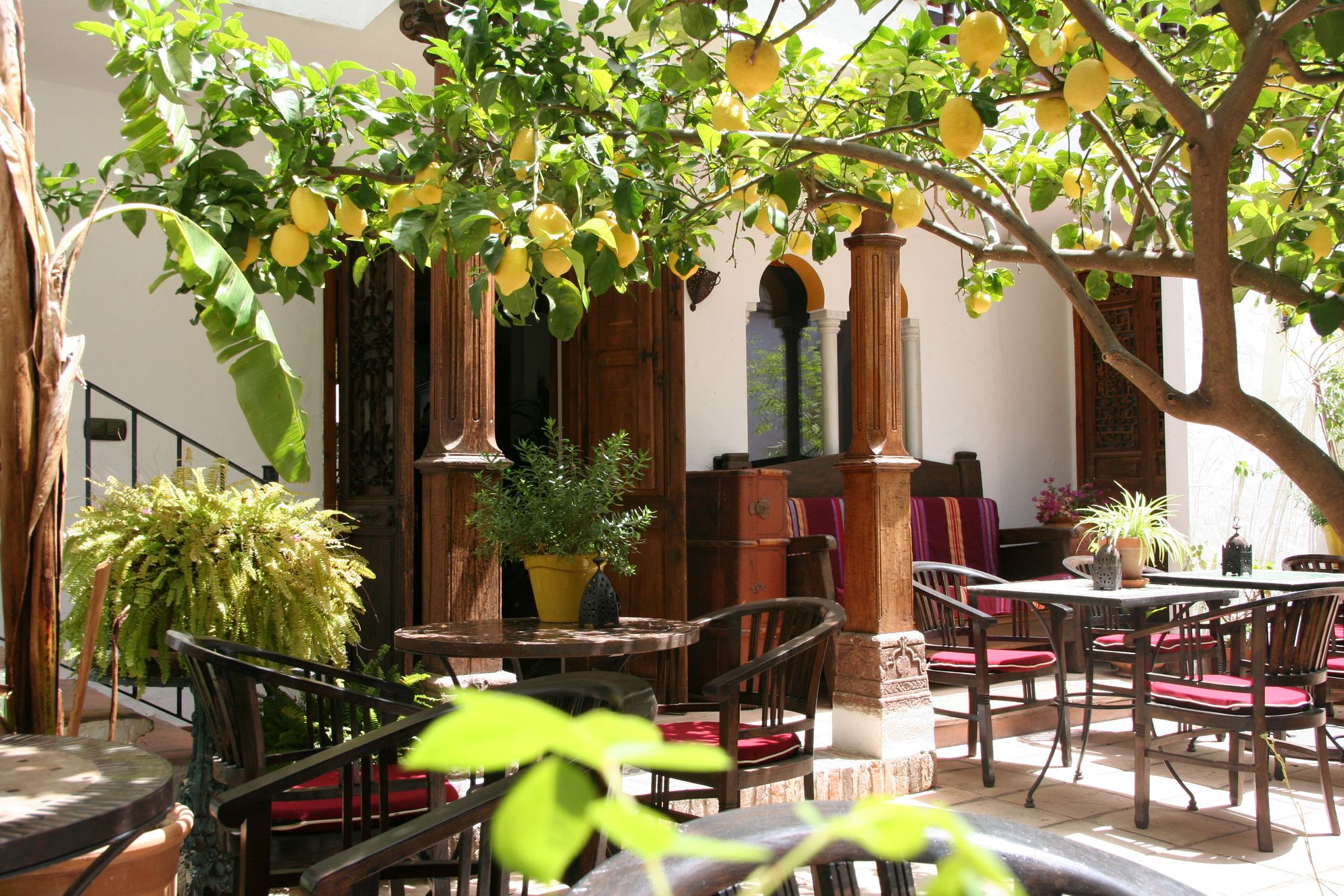 Exterior view of La Posada del Angel, Málaga, Spain. Dark wooden tables and chairs with red cushions, white walls, plants and lemon tree.