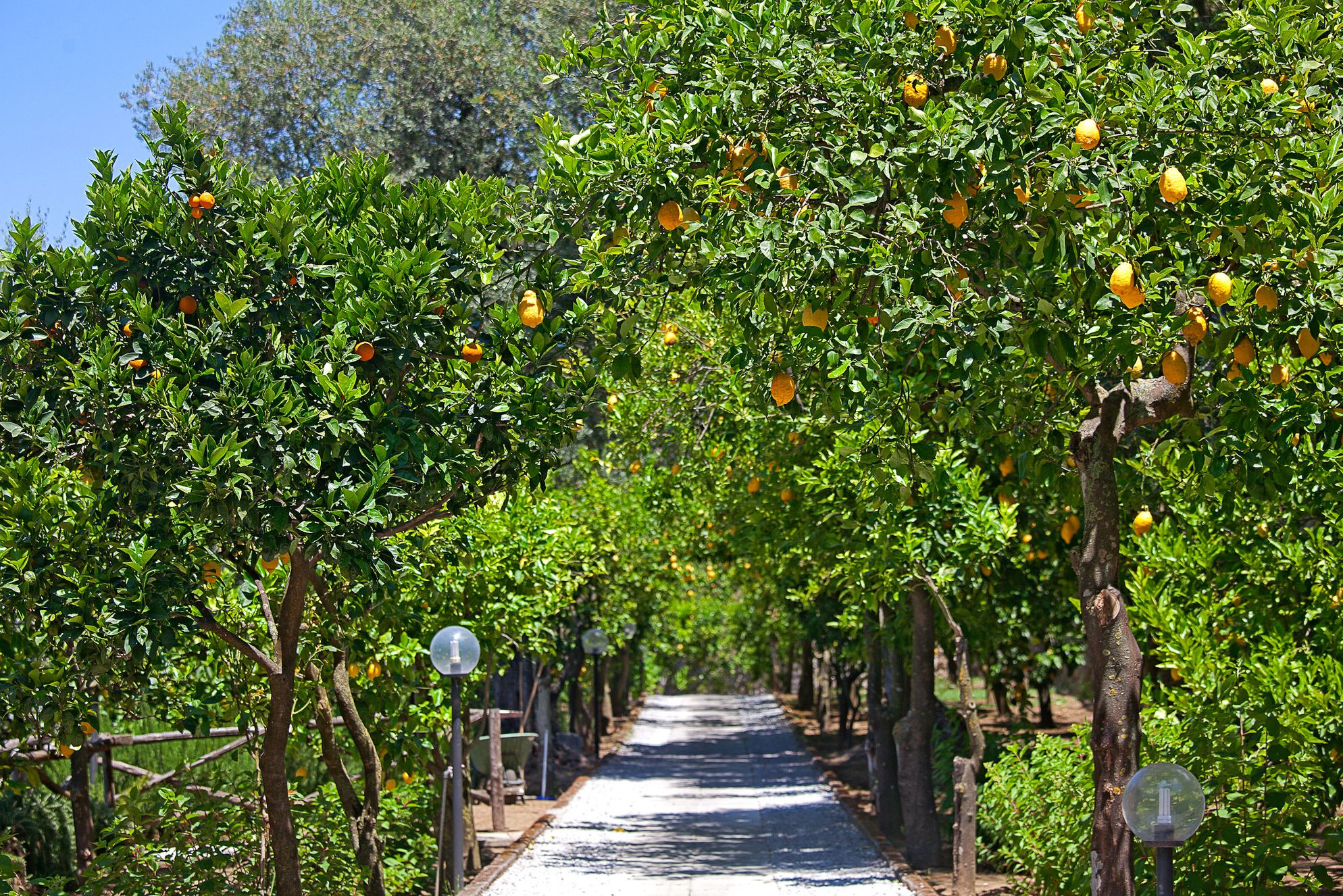 Villa Oriana Relais - Gallery